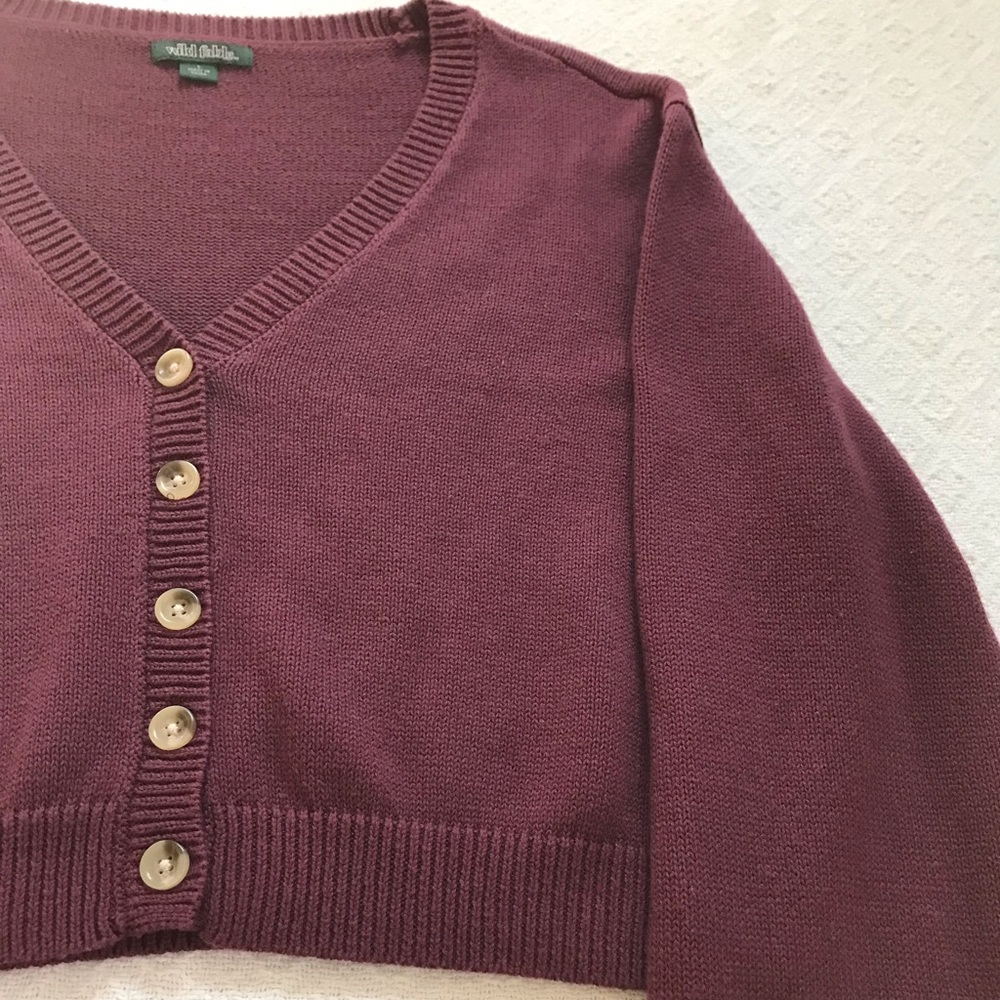 Wild Fable cropped sweater